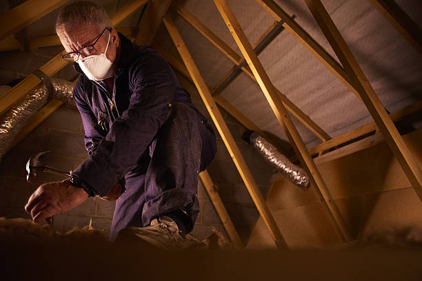 Best Specialty Insulation in Kewaskum, WI